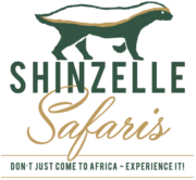 Shinzelle_logo_500px e1729077378560