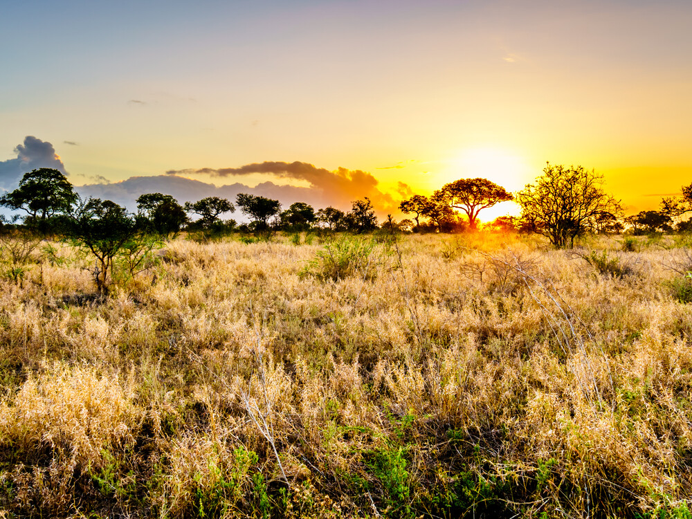 Kruger Canyon Boat Tour at a Luxury Safari Hotel